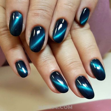 Aqua Nail, Attractive Nails, Best Nail Designs, Teal Nails, September Nails, Nails Design Ideas, Cat Eye Nails, Nagel Inspo, Fall Nail Colors