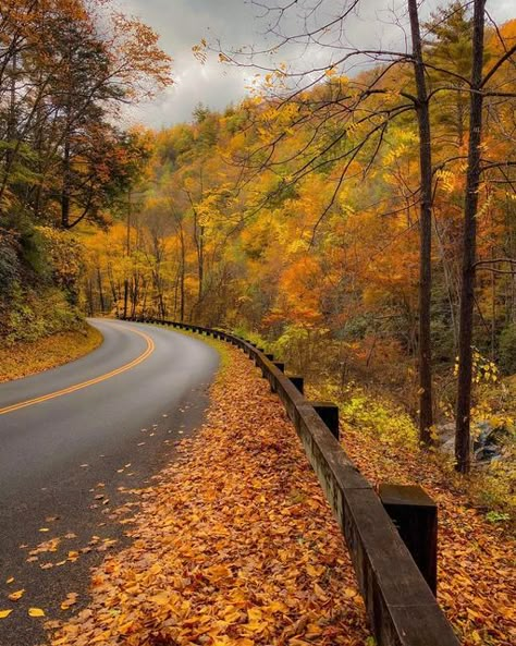 Mountains Aesthetic, Fall Road Trip, Autumn Scenes, Great Smoky Mountains National Park, Smoky Mountain National Park, Autumn Scenery, Fall Travel, Best Seasons, Fall Pictures