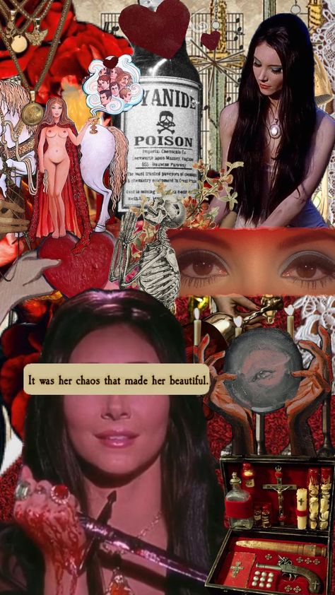 The Love Witch #thelovewitch #love #witches #red #blood #vibes #wallpaper #movie #poison #fate #threeofswords #tarot #witchcraft Love Witch Wallpaper, The Love Witch Movie, The Love Witch, Witch Wallpaper, Vibes Wallpaper, Red Blood, I Wallpaper, Witch, Red