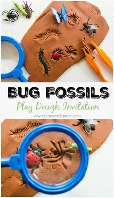 Bug Fossils, Vetenskapliga Experiment, Play Dough Invitation, Bug Activities, Bugs Preschool, Maluchy Montessori, Insect Activities, Insect Crafts, Aktiviti Kanak-kanak