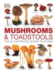 Mushrooms & Toadstools (Dk): Amazon.co.uk: DK: Books Mushroom Guide, Mushroom Identification, Survival Gardening, Mushroom Fungi, Mushroom Chicken, Wild Mushrooms, Beef Steak, Field Guide, Facial Care