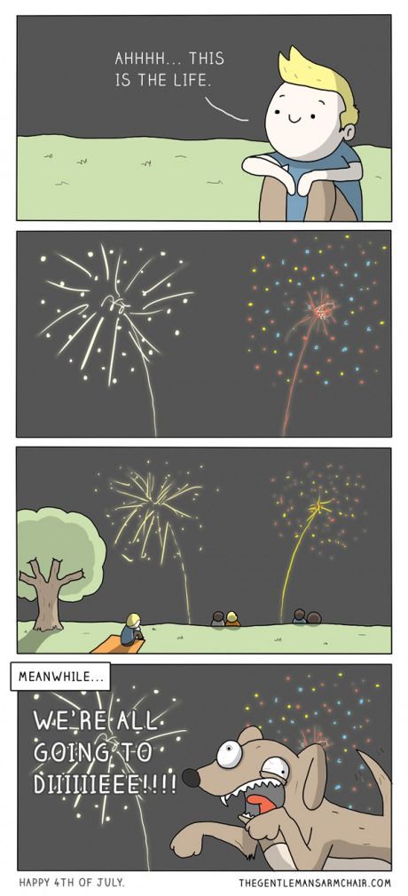 This is so accurate Happy Fourth Of July, Man Vs, Happy 4 Of July, Bones Funny, Funny Comics, Fourth Of July, Puppy Love, Fireworks, Funny Dogs