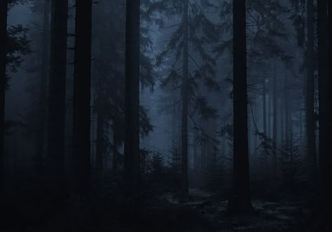 Creepy Woods, Moody Wallpaper, Dark Naturalism, Dark Forest Aesthetic, Indie Photography, Sick Boy, Forest Background, Christian Artwork, Random Image