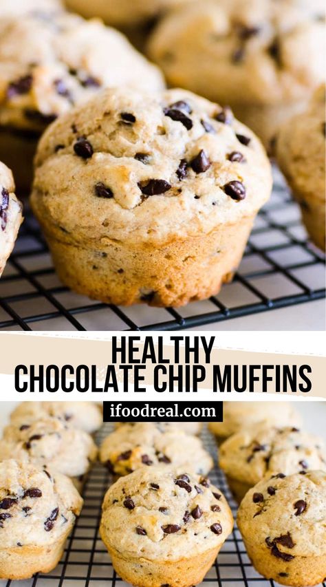 Healthy Chocolate Chip Muffins recipe made with whole wheat flour, no refined sugar and Greek yogurt are healthy bakery style muffins with lots of mini chocolate chips. Chocolate Chip Muffins Easy Healthy, Heart Healthy Muffins Clean Eating, Healthy School Safe Muffins, Chocolate Chip Muffins With Yogurt, No Sugar Muffins For Kids, Whole Wheat Mini Muffins, Healthy Muffins Recipes Easy, Healthier Baked Goods, Mini Chocolate Chip Muffins Healthy