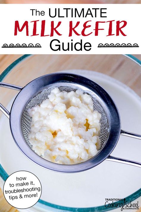 Fresh, tart, and effervescent, milk kefir is a living food teeming with beneficial bacteria and yeasts for gut health! This ultimate guide to all things dairy kefir will answer your burning questions — how to make it, which milk to use, what to do if it's too sour… plus troubleshooting and my 3 best culturing tips! #homemade #milk #kefir #milkkefir #dairykefir Kiefer Recipes, Milk Kefir Recipes, Milk Kefir Grains, Water Kefir Grains, Kefir Yogurt, Fermented Drinks, Homemade Milk, Homestead Kitchen, Kefir Recipes