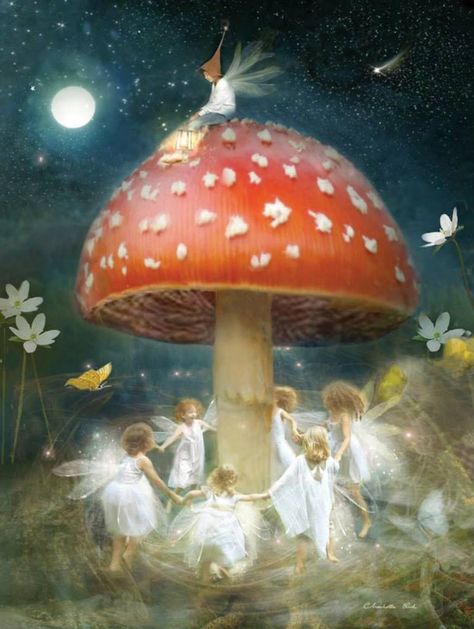 THE FAIRIES DANCE Charlotte Bird, Faerie House, Midsummer's Eve, Butterfly Magic, 동화 삽화, Fairies Dancing, Marjolein Bastin, Beautiful Fairy, Fairies Elves