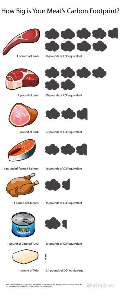 Vegan diets have the smallest carbon footprints! Nutrition Label, Environmentally Friendly Living, Nutrition Chart, Save Our Earth, Vegan Nutrition, Zero Waste Living, Eco Living, Nutritional Yeast, Environmental Issues