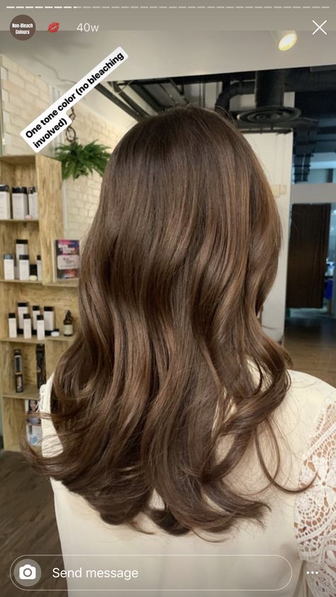 Rich Brown Hair Color Olive Skin, Light Brown Hair Neutral Skin, Honey Brown Hair Solid Color, Latte Brunnet Hair, Mykenna Dorn Hair, Soft Autumn Brown Hair, Creamy Brown Hair, Olive Hair Colour, Soft Autumn Hair Color