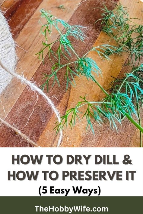 how to dry dill. Preserve Dill, Freezing Fresh Herbs, Preserve Fresh Herbs, Drying Fresh Herbs, Fresh Herb Recipes, Quotes Wellness, Dill Recipes, Freezing Herbs, Preserving Herbs