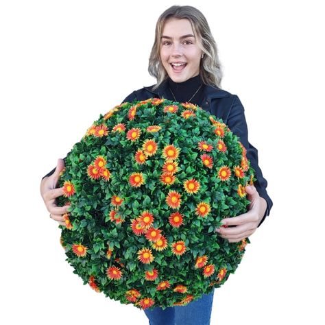 PRICES MAY VARY. Realistic Topiary Plant: These Fake Mums Artificial Flowers have thick leaves and are covered with pretty orange flowers. Our topiary balls are UV-protected, ensuring it retains a vibrant color even under harsh sunlight. Low Maintenance: Say goodbye to watering and trimming with these artificial outdoor plants. Our Fake Mum Plant requires a minimal upkeep, dust them off or rinse with water to keep them looking fresh and vibrant. Wide Applications: These versatile outdoor faux pl Topiary Balls, Planting Mums, Outdoor Topiary, Garden Spheres, Topiary Plants, Artificial Topiary, Pretty Orange, Artificial Plants Outdoor, Front Entrance