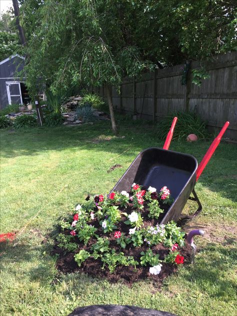 Wheelbarrow Succulent Planter Ideas, Spilled Wheelbarrow Planter Ideas, Old Wheel Barrow Ideas, Wheel Barrel Garden Ideas, Wheel Barrow Planters Diy, Wheel Barrel Planter Ideas Yards, Wheel Barrow Planters, Wheelbarrow Planter Ideas, Wheel Barrel Planter