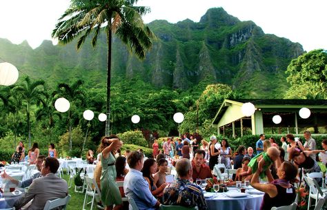 Oahu Wedding Reception, Hawaiin Wedding, Tropical Bride, Hawaiian Weddings, Oahu Wedding Venues, Wedding In Puerto Rico, Wedding Venues Hawaii, Wedding Hawaii, Hawaii Weddings