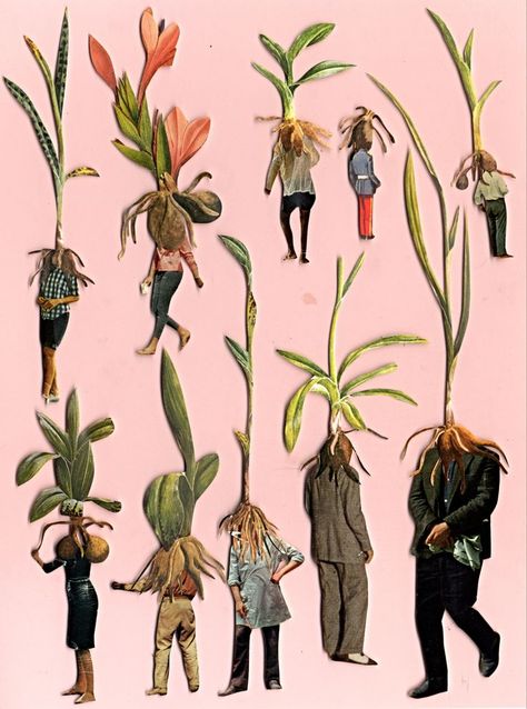 Plant Collage Art, Art Collage Ideas, Plants Collage, Plant Collage, Collage Nature, Garden Collage, Kunst Inspo, Botanical Collage, Plant People