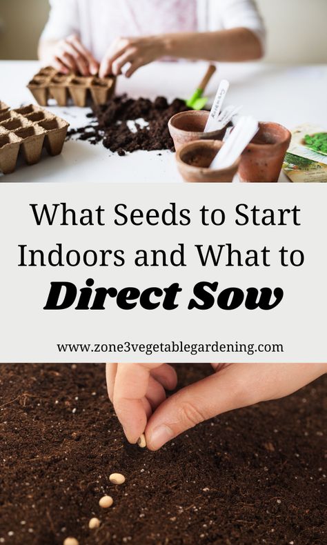 Zone 4 Seed Starting Schedule, Zone 3 Gardening Canada, Zone 4 Gardening, Montana Gardening, Montana Garden, Misselthwaite Manor, Seeds To Start Indoors, Canadian Gardening, When To Plant Seeds