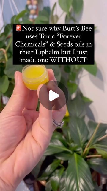 Homemade Toiletries, Burt Bees, Lips Products, Homemade Goods, Easy Diys, Healthy Herbs, Diy Lip Balm, Diy Lips, Diy Cosmetics