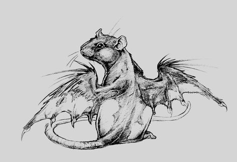 Rat Tattoo, Trash Art, Cute Rats, Tattoo Portfolio, Cool Sketches, Flash Art, Animal Sketches, Graphic Arts, Art Sketchbook