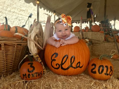 Baby In a pumpkin. 3 months old. Baby Pumpkin Pictures, Halloween Baby Pictures, Fall Baby Photos, Fall Baby Pictures, Baby Boy Newborn Pictures, Baby Milestones Pictures, Monthly Baby Pictures, Pumpkin Pictures, Baby First Halloween