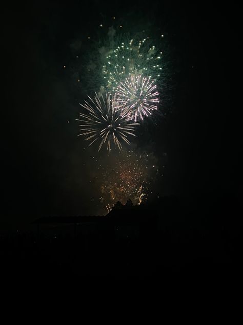 Fireworks 14th of july party night aesthetic cool cute pretty Fireworks, Fairy Tales, Quick Saves