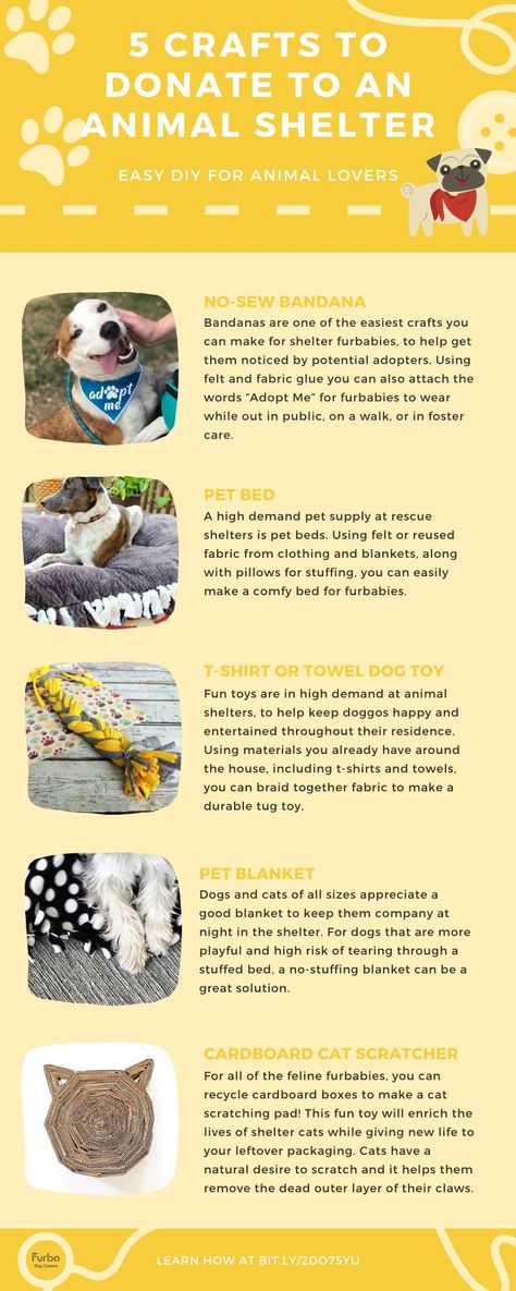 Crafts To Donate, Animal Shelter Donation Ideas, Animal Shelter Crafts, Animal Shelter Donations, Animal Rescue Fundraising, Animal Shelter Design, Kindness Club, Creative Fundraising, Diy Dog Toys