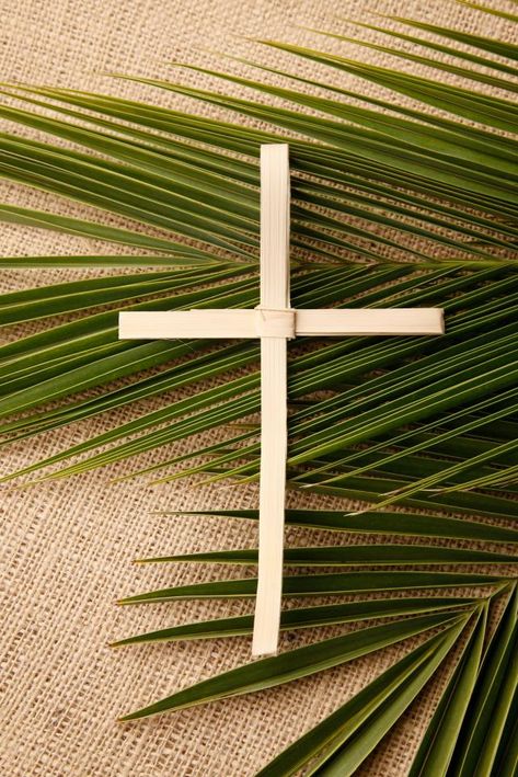 Lent Challenge, Start Of Lent, Happy Palm Sunday, Palm Sunday Decorations, Good Friday Images, Palm Cross, Easter Bible Verses, Bible Artwork, About Ideas