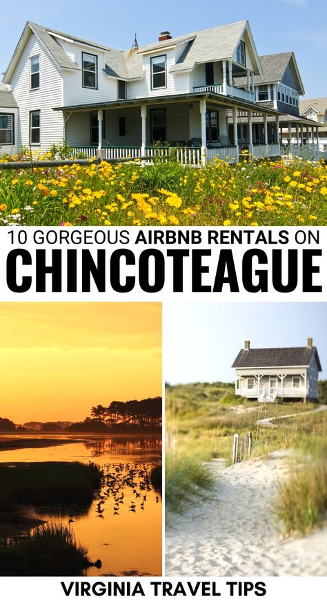 Are you looking for the best Airbnbs in Chincoteague for your upcoming trip? These are the top Chincoteague Island rentals - including waterfront properties! | Chincoteague Airbnbs | Chincoteague vacation rentals | Eastern Shore Airbnbs | Airbnbs on the Eastern Shore | Where to stay in Chincoteague | Chincoteague accommodation | Chincoteague cottages | Chincoteague waterfront rentals | Chincoteague rentals | Vacation rentals in Chincoteague | Eastern Shore cottages Virginia Hikes, Wild Ponies, Vacay Ideas, Assateague Island, Chincoteague Island, Eastern Shore Maryland, Virginia Travel, Airbnb Rentals, Waterfront Property