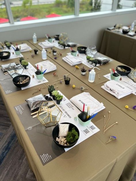 Two tables with light brown linens in a workshop space. Succulent terrarium planting stations organized on top with all the supplies needed for this planting workshop. Terrarium Workshop Ideas, Make Your Own Succulent Party, Terrarium Party Ideas, Succulent Workshop Ideas, Build Your Own Succulent Bar, Succulent Business Ideas, Succulent Bar Diy, Succulent Planting Party, Plant Workshop Ideas