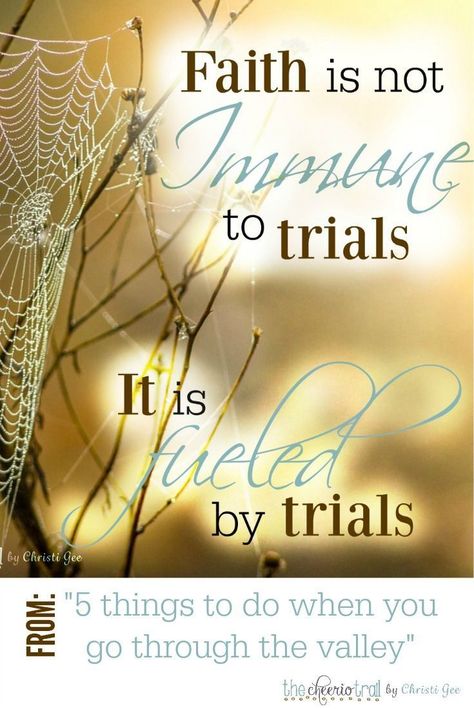 Faith is not immune to trials. Faith is fueled by trials. Be encouraged to endure seasons of testing with this inspiration and wisdom taken from Psalm 23, 1 Peter, and Hebrews. Scripture quotes, Bible verses, Christian encouragement for the discouraged believer. Quotes About Trials, Be Encouraged, Keep The Faith, Christian Encouragement, Bible Verses Quotes Inspirational, Walk By Faith, Spiritual Inspiration, Scripture Quotes, Verse Quotes