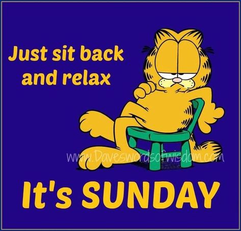 Relax it's Sunday quotes quote garfield days of the week sunday sunday quotes happy sunday happy sunday quotes Garfield Quotes, Sunday Humor, Its Sunday, Garfield Pictures, Garfield Images, Garfield Christmas, Garfield The Cat, Sunday Pictures, Garfield Cartoon