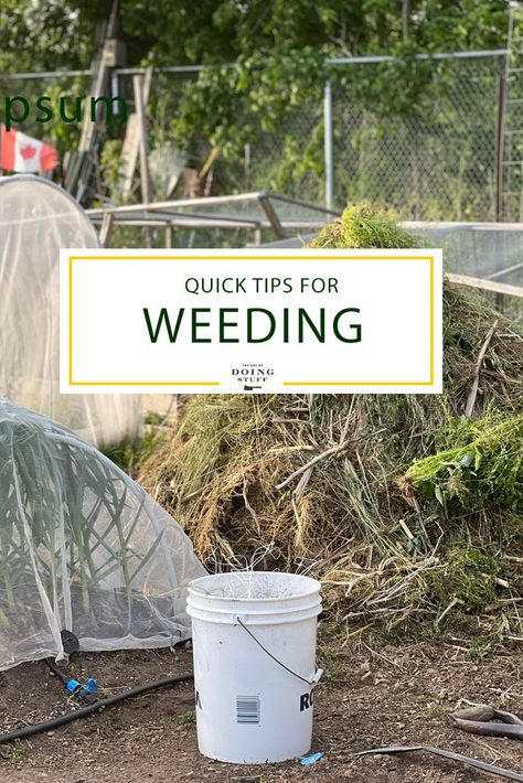 Weeding Tips, Garden Prep, Kill Weeds Naturally, Killing Weeds, Garden Prepping, Pulling Weeds, Garden Weeds, Backyard Farming, Outdoor Ideas