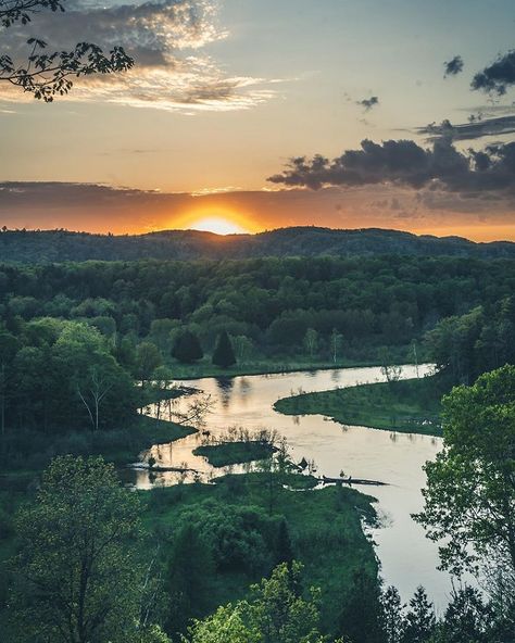 Forest At Sunset, Manistee National Forest, City Of Gold, Natural Waterfalls, Sony A7iii, Forest Sunset, River Forest, Fantasy Tattoos, Forest View