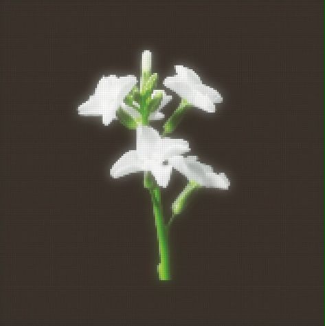 Flower Aesthetic Gif, Aesthetic Animated Wallpaper, Aesthetic Wallpaper Pixel, Plants Gif, Phone Wallpaper Gif, Pixels Gif, Gif Template, Flower Animation, Aesthetic Gifs