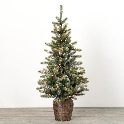 This potted Christmas tree is the perfect addition to your holiday decorating. At 4.5' high, this pre-lit tree makes a lovely accent near a door, on a covered porch, or in an alcove. It's versatile enough to complement a variety of decorating styles and neutral enough to leave up all winter long. | The Holiday Aisle® Spivey 4.6" Faux Pine Tree in Rattan Basket Plastic / Wicker / Rattan in Brown / Green, Size 4.6 H x 24.0 W x 24.0 D in | Wayfair Potted Christmas Tree, White Pine Tree, Potted Christmas Trees, Prelit Tree, Pot Lights, Decorating Styles, Led Christmas Lights, Holiday Store, Wall Decor Pictures