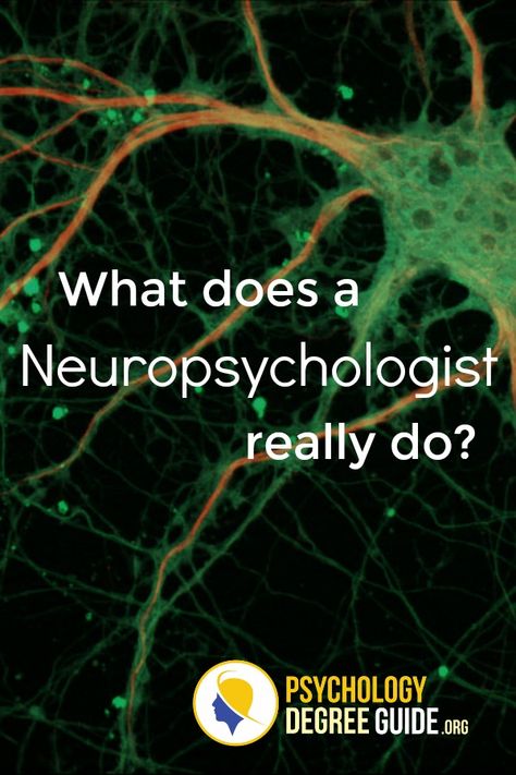 What does a neuropsychologist do? Neuropsychology Career, Neuropsychology Student, Neuropsychologist Aesthetic, Neuroscience Research, Neuropsychology Aesthetic, Neurologist Aesthetic, Neuro Psychology, Neuroscience Major, Computational Neuroscience