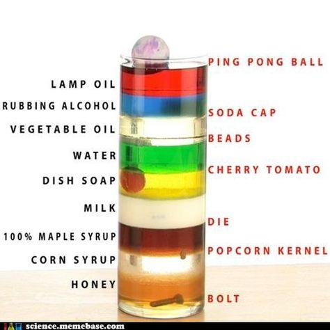 Liquid density and how it interacts with different objects. Seriously handy for a science class! Density Tower, Vetenskapliga Experiment, Science Labs, At Home Science Experiments, Kid Science, Science Club, Kid Experiments, Fair Projects, E Mc2