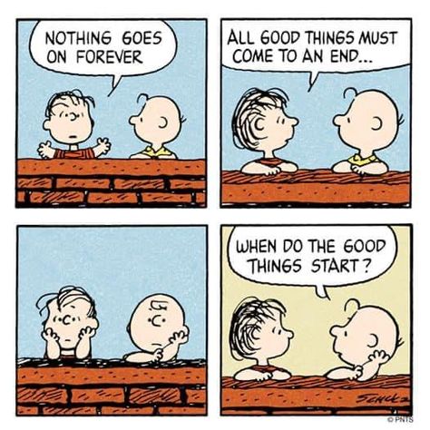 Snoopy Philosophy, Charlie Brown Comics, Charles Shultz, Peanuts Quotes, Twitter Pics, Woodstock Snoopy, Snoopy Comics, Peanuts Comic Strip, Snoopy Funny