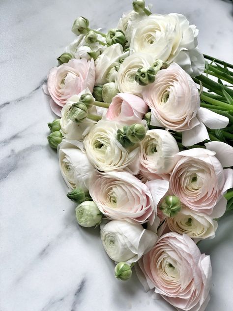 Ranunculus Aesthetic, Condolence Flowers, Ranunculus Bouquet, Carnation Bouquet, Simple Wedding Bouquets, Ranunculus Flowers, Beautiful Flowers Images, Wonderful Flowers, Flower Therapy