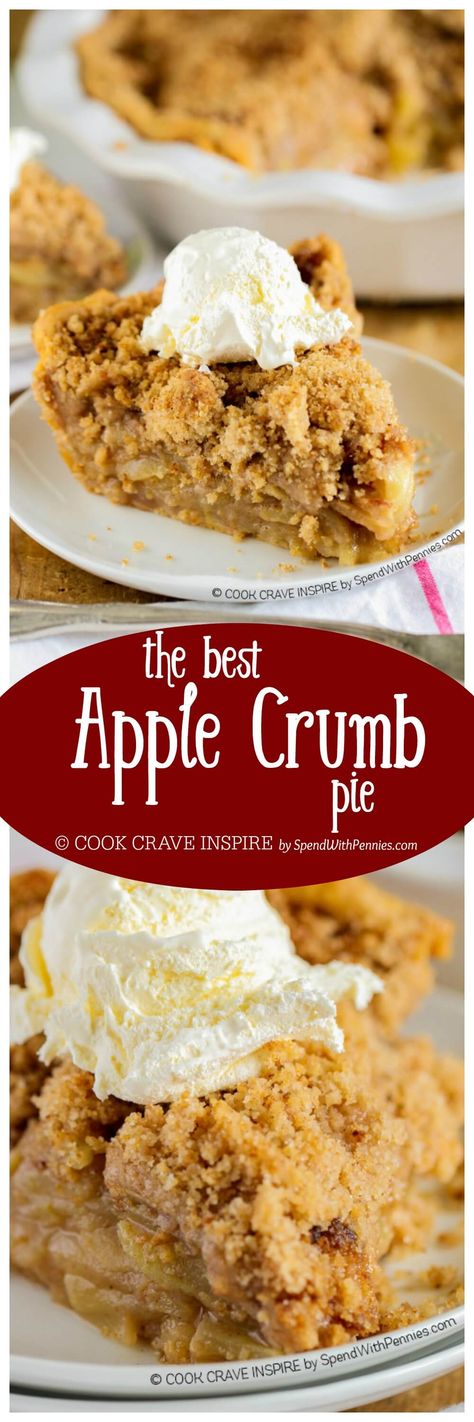 The BEST Apple Crumb Pie! This is truly the best apple pie recipe you'll ever make! Loaded with fresh tart apples and topped with a sweet brown sugar crumble, this is one recipe that will be requested over and over!