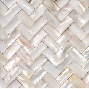 Tile 2023, Seashell Tile, Shell Mosaic Tile, Ohio House, Shower Tiles, Shell Tiles, Interior Images, Pearl Tile, Bullnose Tile