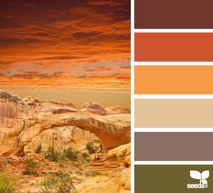 Canyon Color | 10 Color Palettes (and HEX Codes) Perfect for the Autumn/Fall Season Desert Colors, Color Palate, Design Seeds, Colour Board, Colour Schemes, Color Pallets, Color Swatches, Color Theory, Color Themes