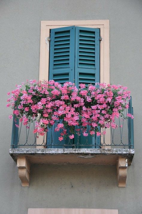 Balcony Window Boxes, Italian Balcony Aesthetic, Italian Balcony Ideas, Window With Balcony, Italian Windows, Italian Balcony, Blue Shutters, Window Box Flowers, Balcony Flowers