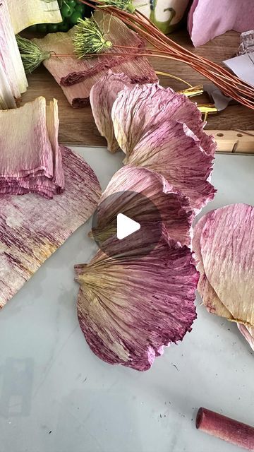 black_tree_designs on January 25, 2024: "|SOUND ON| One of the many reasons my go-to crepe paper is @cartotecnicarossi 180gm. This paper ..." How To Dye Crepe Paper, Large Crepe Paper Flowers Diy, Giant Tissue Paper Flowers Diy, Giant Crepe Paper Flowers Diy, Crepe Flowers Diy, Paper Crepe Flowers, Crepe Paper Wisteria, Large Crepe Paper Flowers, Paper Peony Diy