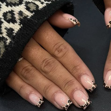 Fall Square Short Nails, Leopard Print French Tips Square, Cute Short Acrylic Nails Baddie, Biab Nails Leopard, Short Square Leopard Nails, Leopard Print Biab Nails, Short Cheetah Print French Tip Nails, Short Nails Leopard Print, Short Leapord Nails