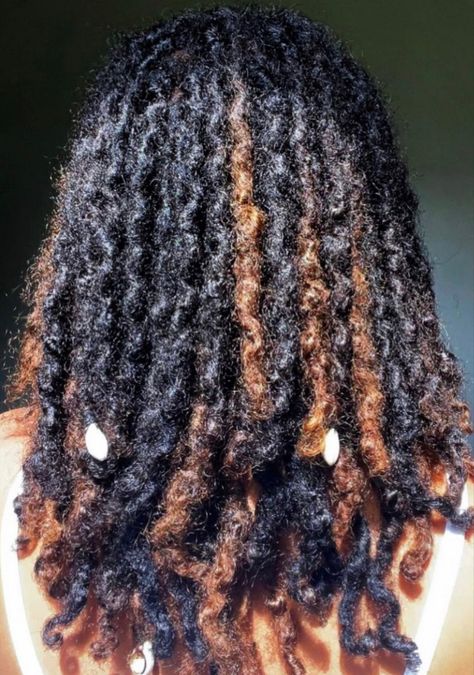 Dreadlock Highlights, Pipe Cleaner Locs, Highlights On Locs, Loc Highlights Black Women, Locs With Highlights, Fluffy Locs, Dyed Dreads, Brown Dreads, Cute Dreads