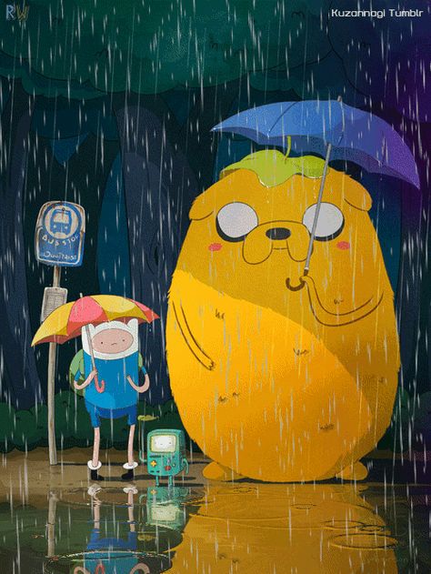 Time Adventure OR MY NEIGHBOR Totoro?? GIF - Tenor GIF Keyboard - Bring Personality To Your Conversations | Say more with Tenor Finn Jake And Bmo, Finn Jake, My Neighbor Totoro, Adventure Time, Gif