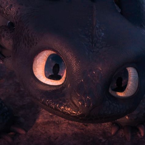 Httyd Profile Pic, Toothless Icons Aesthetic, Toothless Pfp Aesthetic, Httyd Pfp Aesthetic, Hiccup Aesthetic Httyd, Httyd Icons Aesthetic, How To Train Your Dragon Iphone Wallpaper, Toothless Widget, Dragons From How To Train Your Dragon