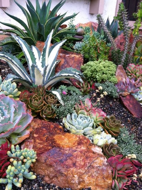 Succulent Decorations, Succulent Garden Ideas, Succulent Rock Garden, Kaktus Dan Sukulen, Succulent Garden Landscape, Succulent Decor, Succulent Landscape Design, Drought Tolerant Garden, Succulent Garden Design