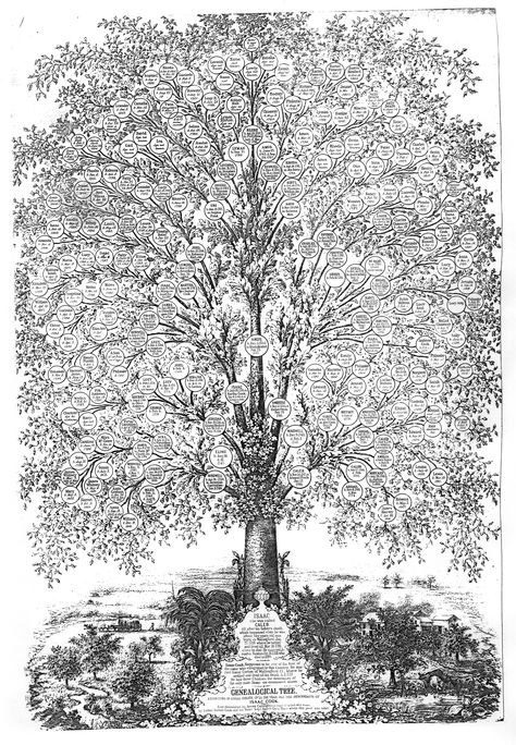 Love the layout of this tree Family Tree Examples, Family Tree Artwork, Genealogical Tree, Genealogy Art, Unique Family Tree, Genealogy Tree, Ancestry Tree, Family Tree Designs, Clean Carpet