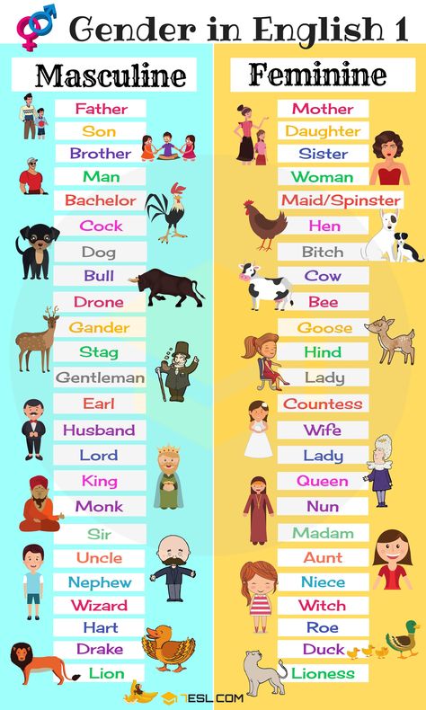 English Learning: Noun: Gender Masculine And Feminine Worksheet, Gender In English, Gender Of Animals, Gender Of Nouns, Gender Words, अंग्रेजी व्याकरण, Tatabahasa Inggeris, Grammar For Kids, Masculine And Feminine