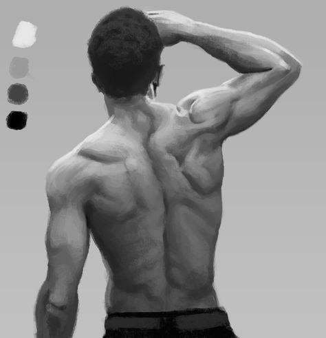 Male Back Study #anatomysketch #photostudy #art #practice #digitalpainting Human Body Anatomy Drawing Male, Back Study Reference, Male Body Sketch Back, Male Back Painting, Males Back Reference, Man Anatomy Back, Male Back Muscles Drawing, Male Anatomy Back View, Male Back Anatomy Drawing