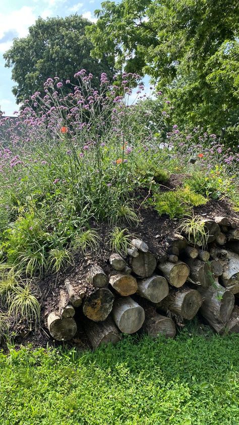 hugel garden Mound In Garden, Raised Mound Garden Beds, Mound Planting Garden Ideas, German Garden Design, Hugel Beds Garden, Garden Mounds Landscaping Ideas, Mounded Garden Beds, Rock Raised Garden Beds, Raised Garden Bed Landscaping